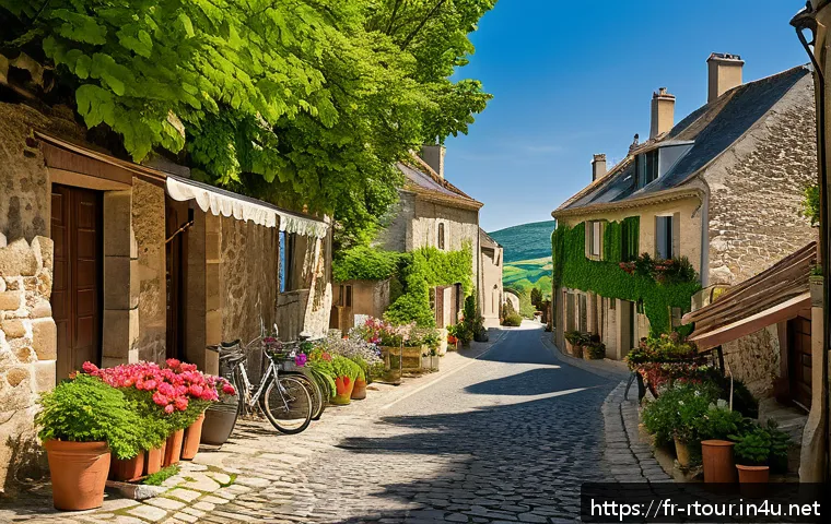 농촌관광기획사 자격증 시험 난이도 - A detailed scene of a rural French village showcasing its rich heritage and tourist appeal: cobblest...